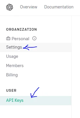 Settings Menu of Open AI website